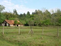 Terreno para Venda em Viamão - 4