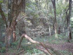 Terreno para Venda em Porto Alegre - 4