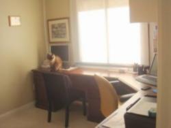 Apartamento para Venda em Porto Alegre - 3