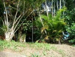 Casa para Venda em Porto Alegre - 5