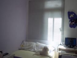 Apartamento para Venda em Porto Alegre - 3