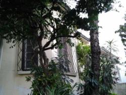 Casa para Venda em Porto Alegre - 2