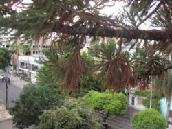 Apartamento para Venda em Porto Alegre - 5
