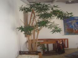 Apartamento para Venda em Porto Alegre - 4